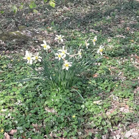 De La Ferme De Lexhy *